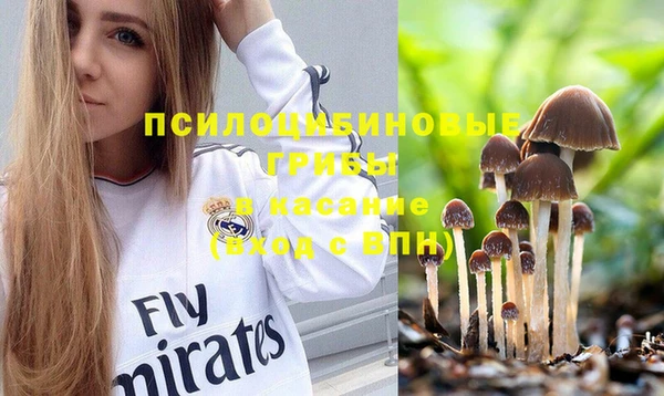 дживик Каменск-Шахтинский