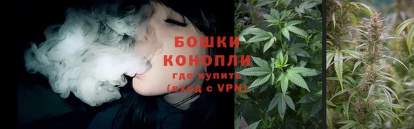 MESCALINE Каменка