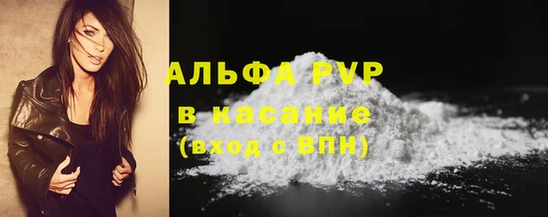 тгк Каменногорск