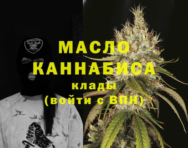 тгк Каменногорск