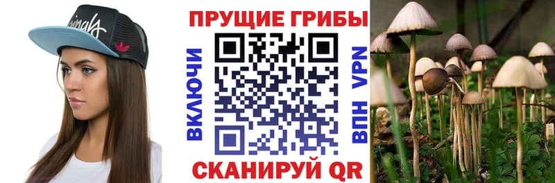Псилоцибиновые грибы мухоморы  Купить где  Бабаево 